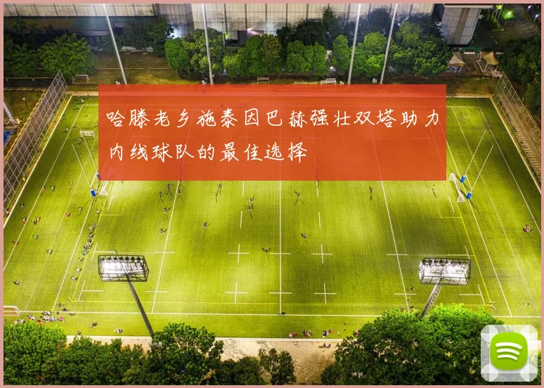 哈滕老乡施泰因巴赫强壮双塔助力内线球队的最佳选择